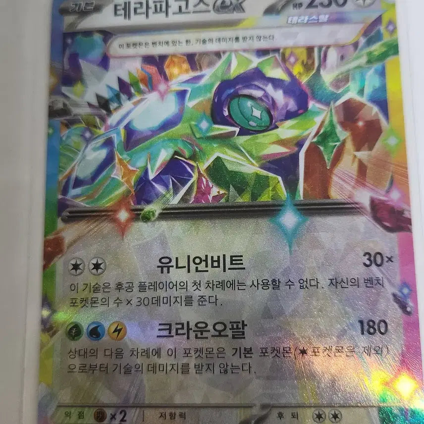 [BUNJANG] Terrapagos EX Pokemon Card / [포켓몬 카드]테라파고스EX 카드