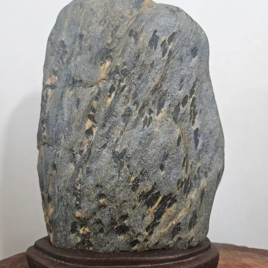 [BUNJANG] Sunchang Leopard Stone Scholar Rock / 순창 호피석 수석