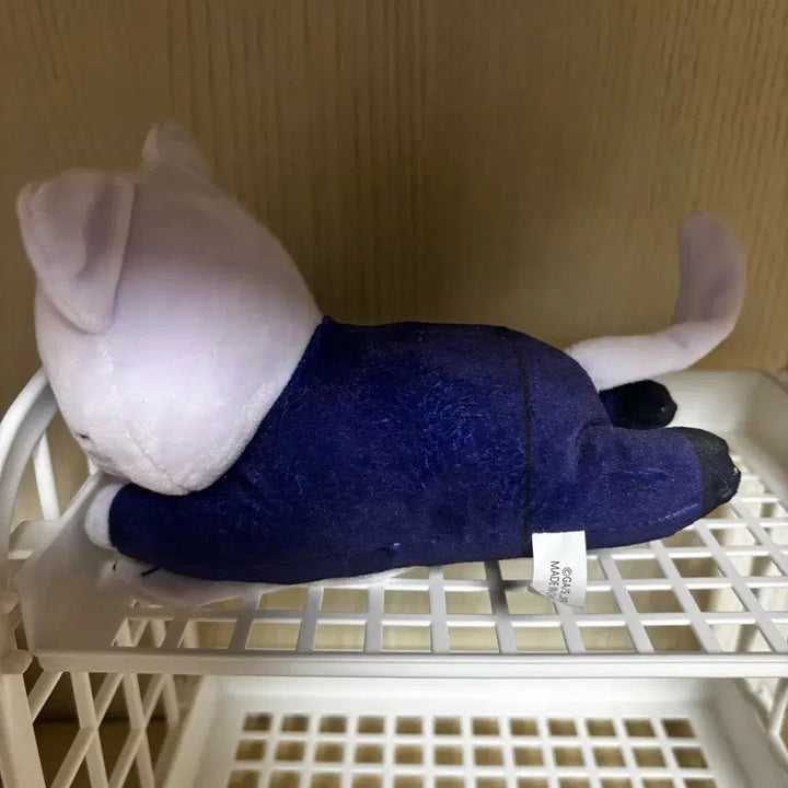 [BUNJANG] Jujutsu Kaisen Satoru Gojo Cat Nesoberi Plush / 주술회전 고죠 고양이 네소베리 누이 회옥 옥절 인형