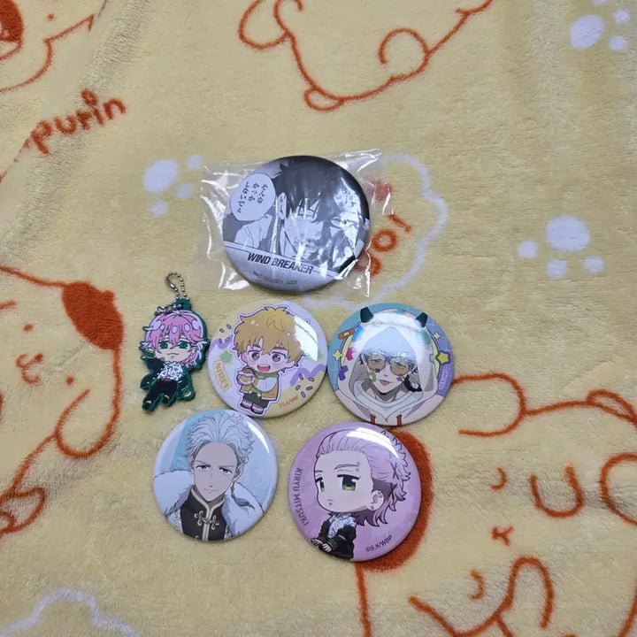 [BUNJANG] Wind Breaker Gacha Badge &amp; Keyring Set / 윈드브레이커 뱃지 &amp; 키링 세트 윈브레 가챠