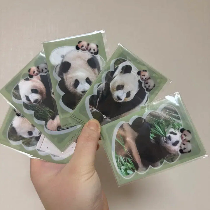 [BUNJANG] Everland Bao Family Madeleine Photocard Bundle Set / 에버랜드 푸바오 바오패밀리 마들렌 포카 일괄