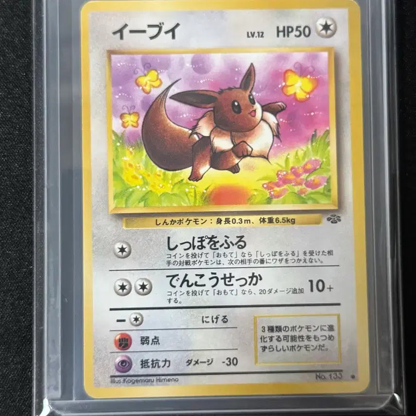 [BUNJANG] Pokemon Card Japanese 1997 Eevee / 포켓몬카드 일판 1997 이브이