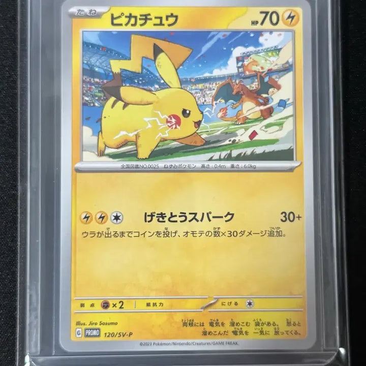 [BUNJANG] Pokemon Japanese Gym Promo Pikachu (vs Charizard) Trading Card / 포켓몬카드 일판 짐프로모 피카츄 (vs 리자몽)