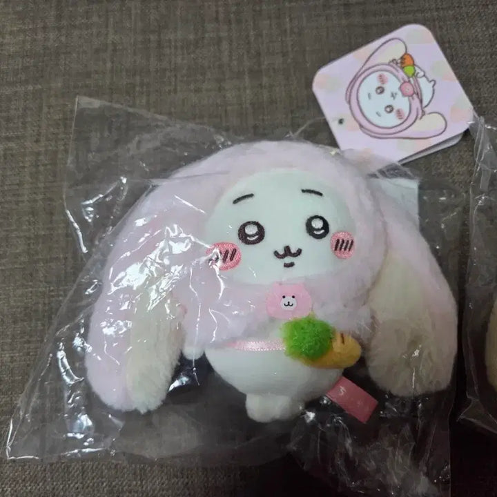 [BUNJANG] Chiikawa Taiwan Robear Chiikawa / 치이카와 대만 롭이어 치이카와