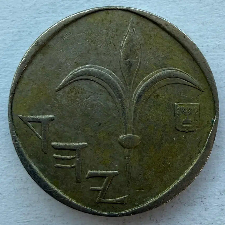 [BUNJANG] Israel 1 New Shekel Coin / 이스라엘 1뉴셰켈 동전 S2973
