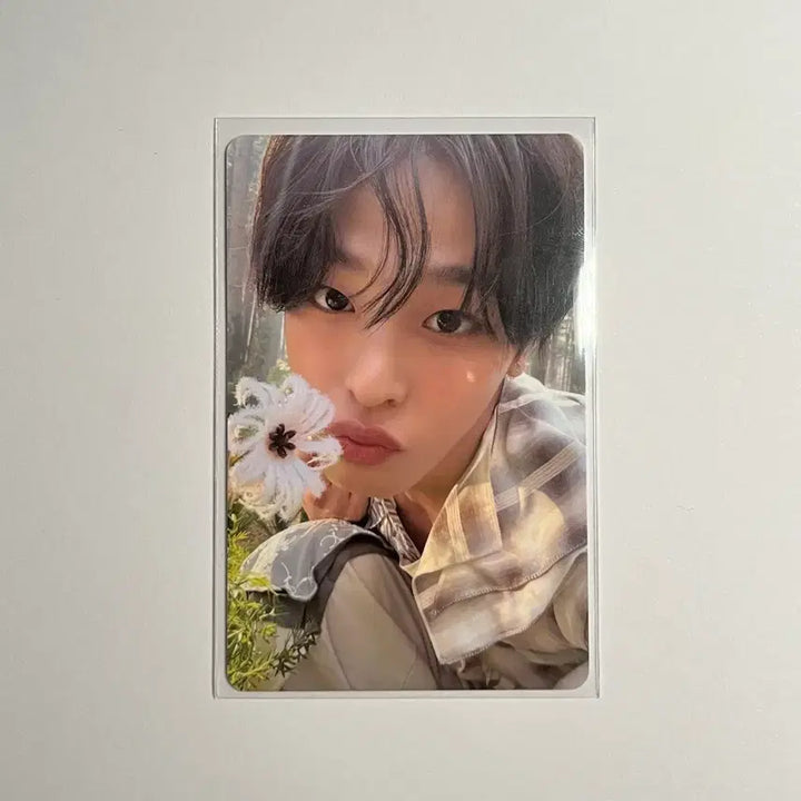 [BUNJANG] Riku Odd to Love VIXX Mini Photocard / 리쿠 오드투러브 빅스미니 포카