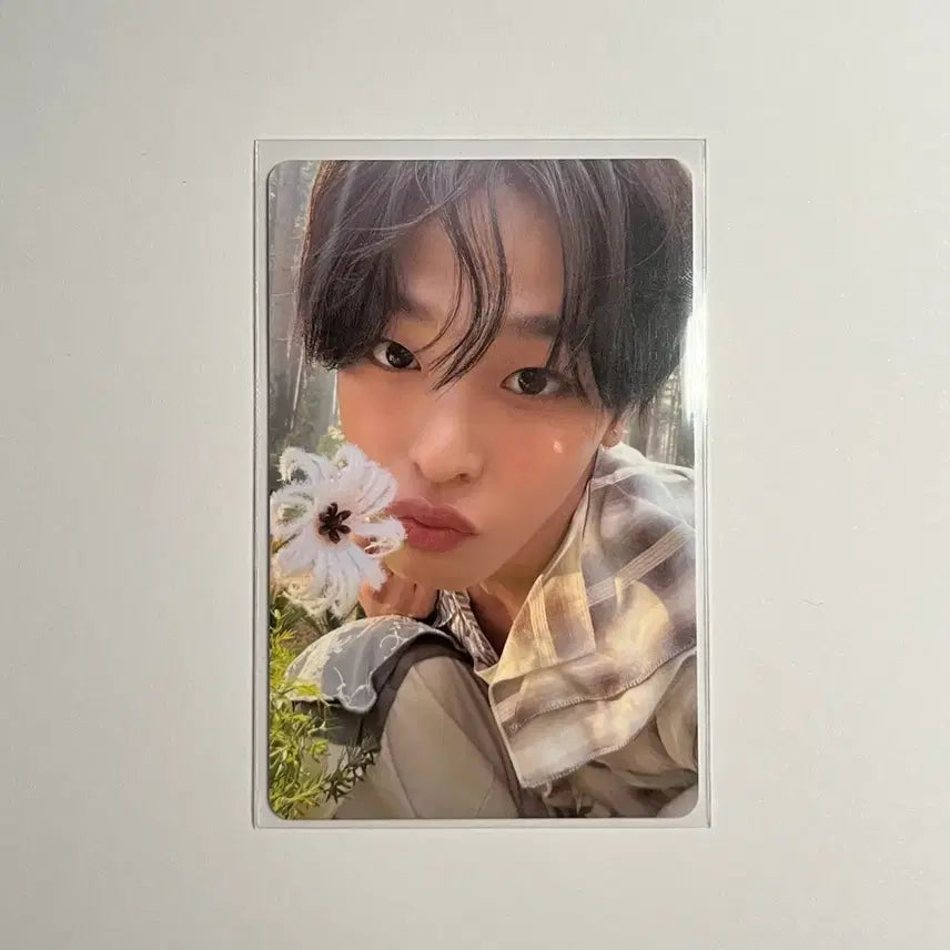 [BUNJANG] Riku Odd to Love VIXX Mini Photocard / 리쿠 오드투러브 빅스미니 포카