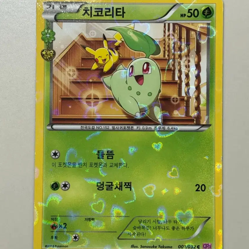 [BUNJANG] Pokemon Card Chikorita - Adorable Illustration / 포켓몬카드 심쿵 치코리타