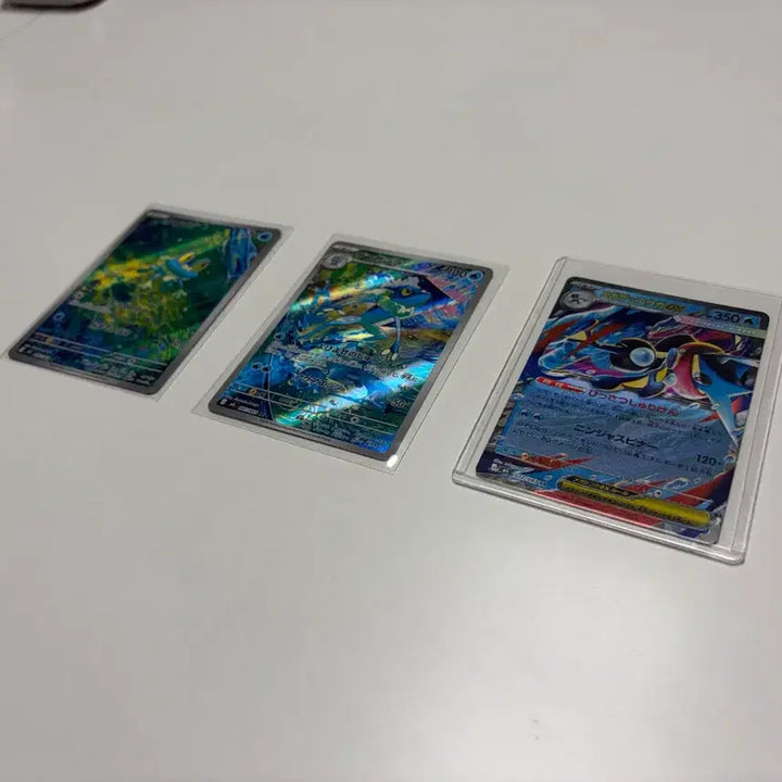 [BUNJANG] Turtwig AR, Grotle EX Set Bundle Japanese Edition / 일판)개굴마르/개굴반장 AR, 개굴닌자EX 세트 일괄 판매