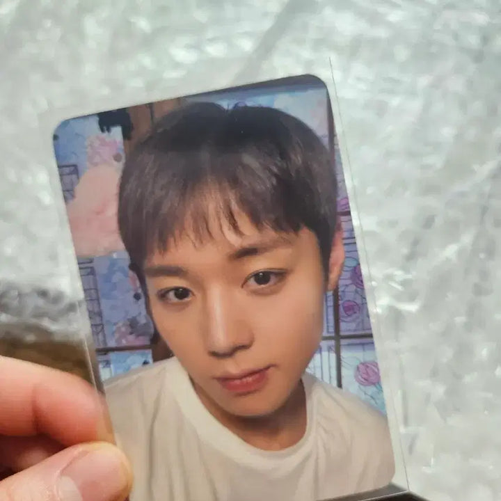 [BUNJANG] Park Jihoon Soundwave Lucky Draw Photocard / (일괄)박지훈 하바회 사운드웨이브 미공포+미공개 앨범 판매