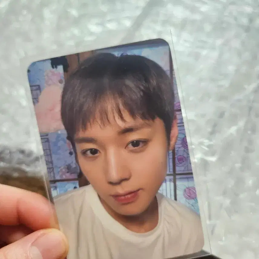 [BUNJANG] Park Jihoon Soundwave Lucky Draw Photocard / (일괄)박지훈 하바회 사운드웨이브 미공포+미공개 앨범 판매
