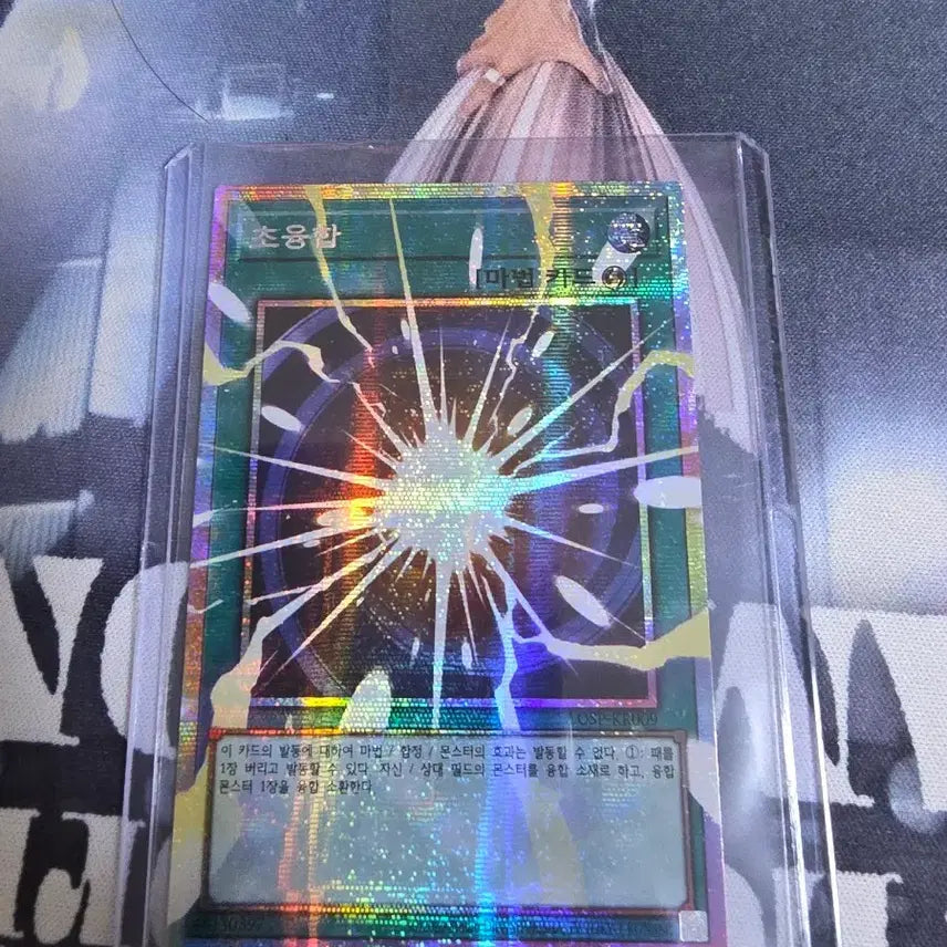 [SOLD OUT] 초융합 오버프레임 프식