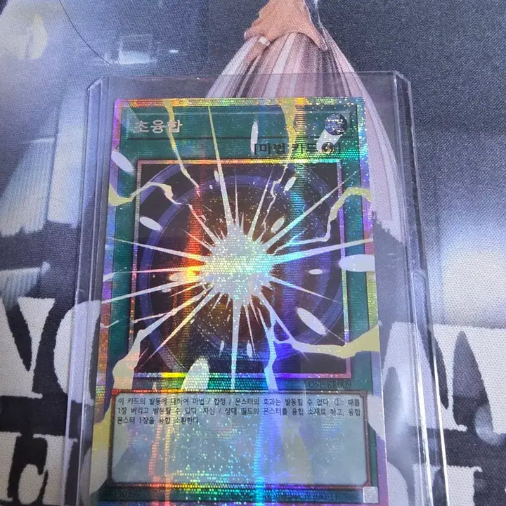 [SOLD OUT] 초융합 오버프레임 프식