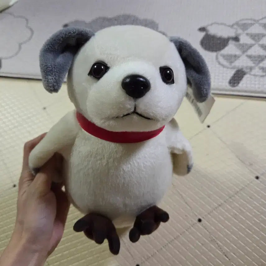 [BUNJANG] Unique Dog Plush Toy / 개새인형 강아지인형 새인형 독특한인형 새제품