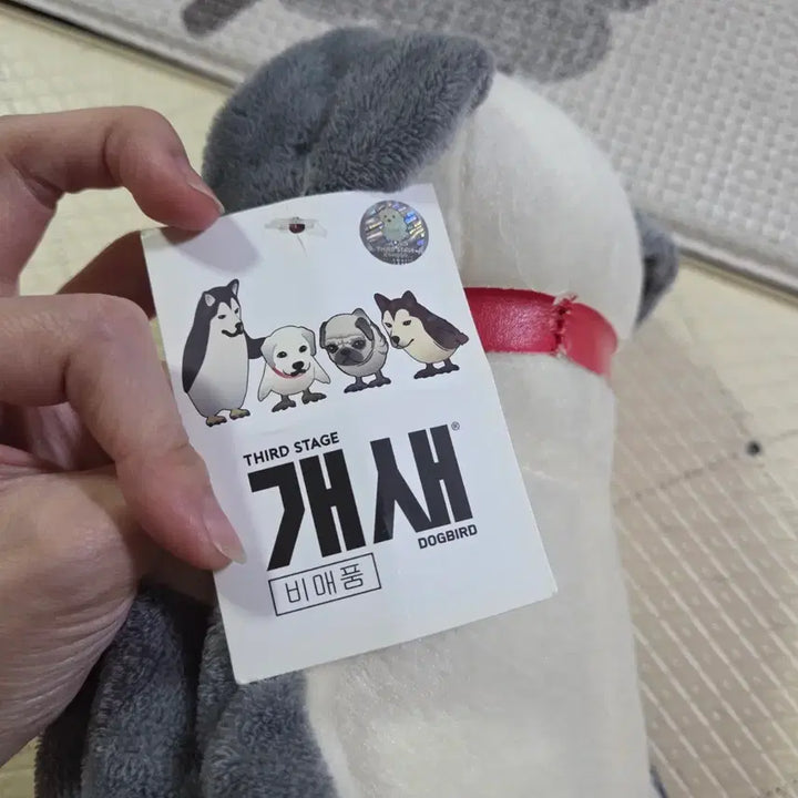 [BUNJANG] Unique Dog Plush Toy / 개새인형 강아지인형 새인형 독특한인형 새제품