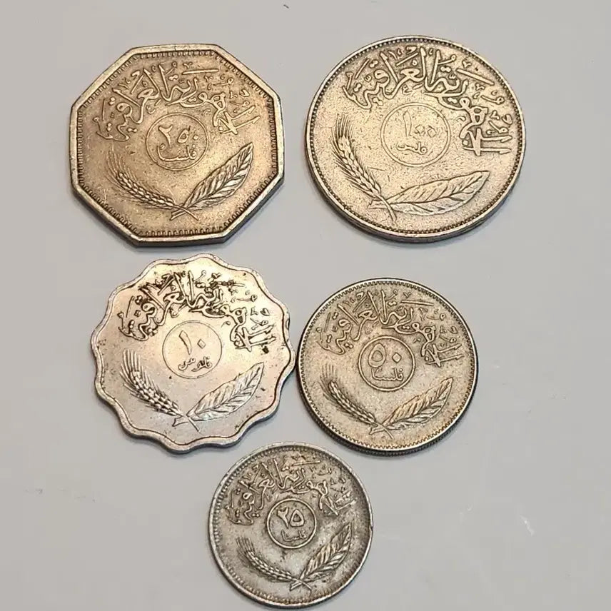 [BUNJANG] Iraq Coin Set (5 Pieces) / 외국동전, 이라크 주화 5점 일괄
