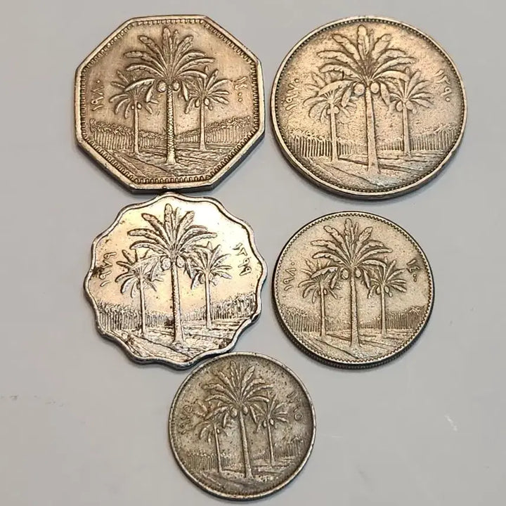 [BUNJANG] Iraq Coin Set (5 Pieces) / 외국동전, 이라크 주화 5점 일괄