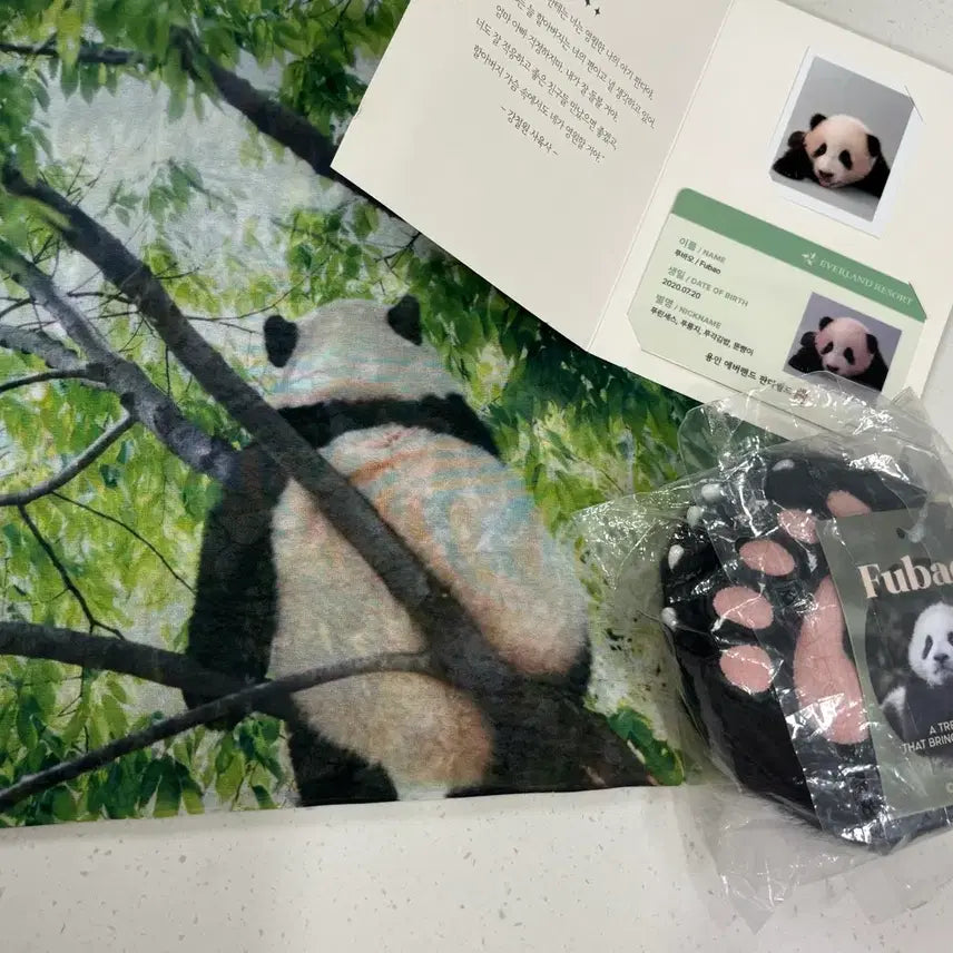 [BUNJANG] Fu Bao Special Edition Bundle Set / 푸바오 시그 일괄