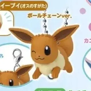 [BUNJANG] Pokemon Petanko Flat Mascot Charm (Fire Type: Charmander, Litten, Eevee) / 포켓몬 페탄코 납작 마스코트 불타입 파이리, 냐오불 이브이 대롱대롱 가챠