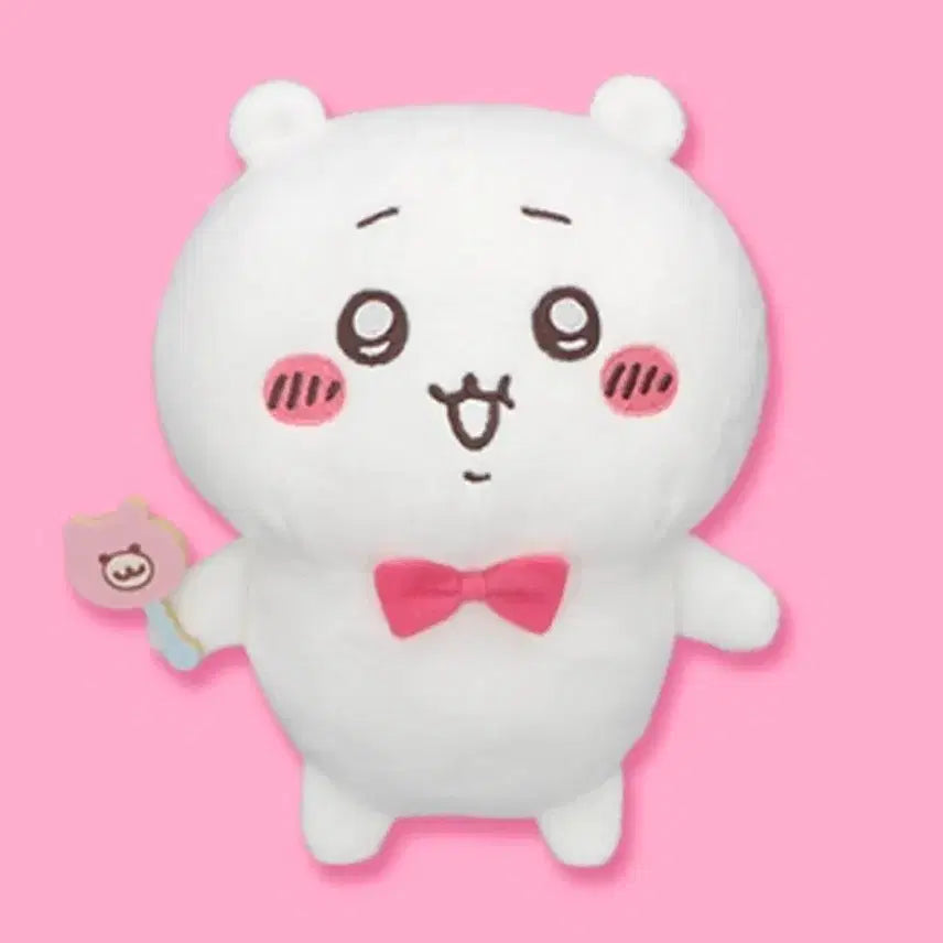 [BUNJANG] Chiikawa Racco Series Plush / 치이카와 랏코와함께 시리즈 후류