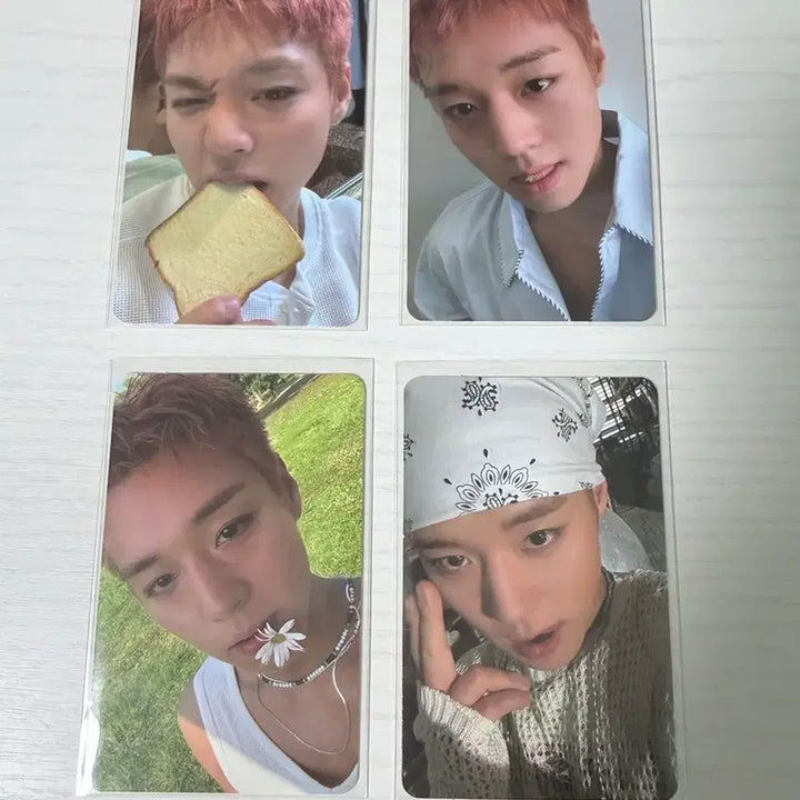 [BUNJANG] Park Jihoon Body Else Album Photocard Bundle Set / 박지훈 바디엘스 앨범 포카 일괄