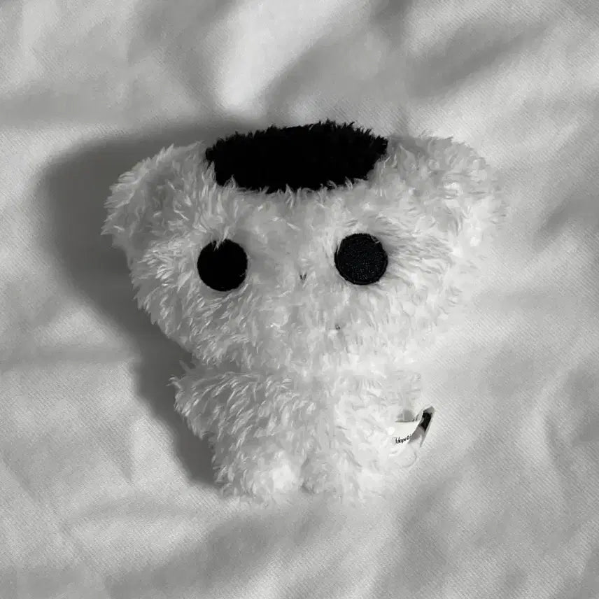 [BUNJANG] ENHYPEN JAY White Rice Ghost Doll / 앤팀 죠 흰쌀밥의 유령 인형 양도 판매