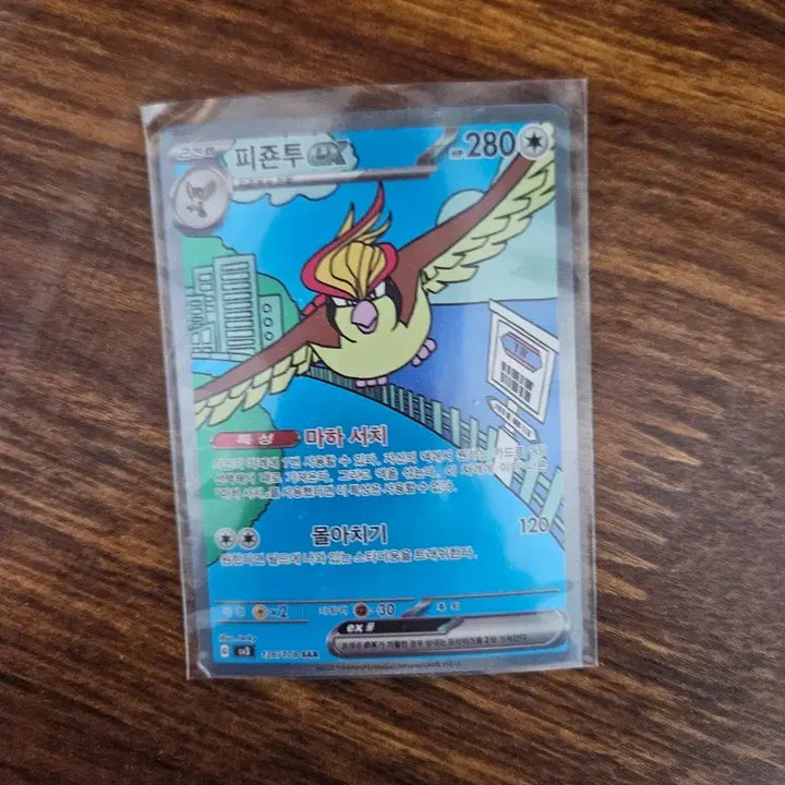[BUNJANG] Pokemon Pidgeot EX SAR Trading Card / 포켓몬스터 카드 포켓몬 피죤투 EX SAR