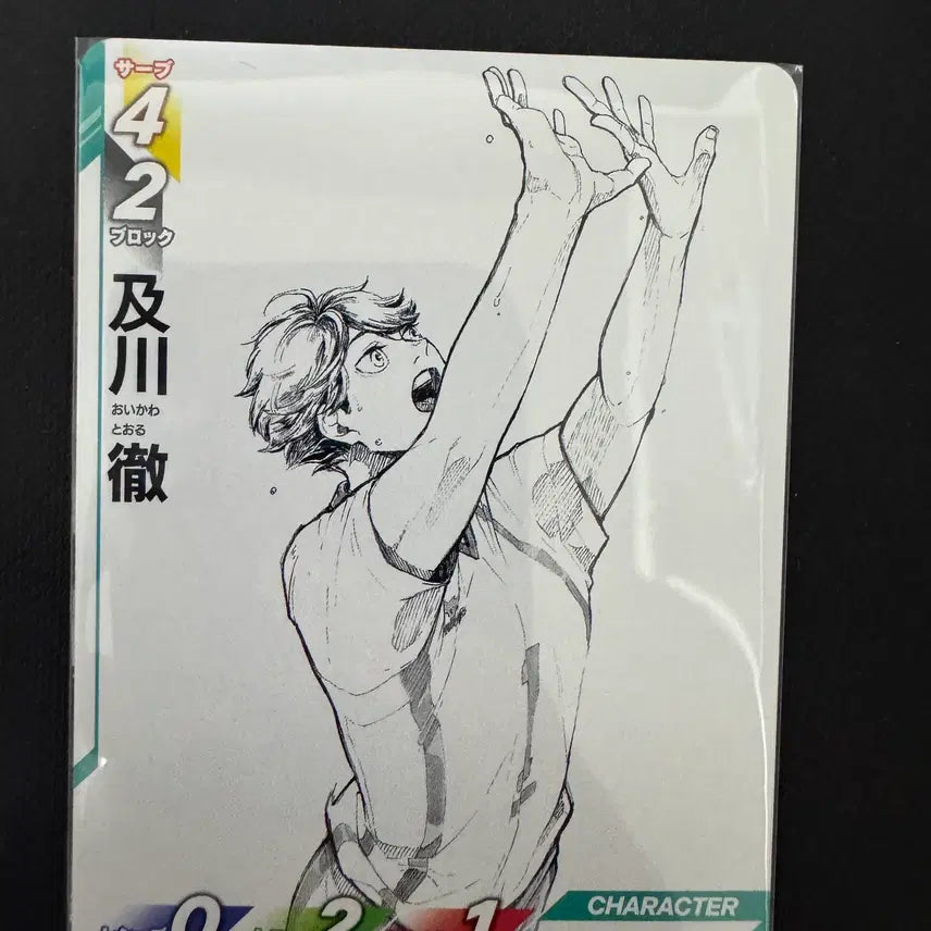 [BUNJANG] Haikyuu!! Baka Card Break Promo Card Oikawa / 하이큐 바보카 브레이크 프로모카드 오이카와 판매합니다
