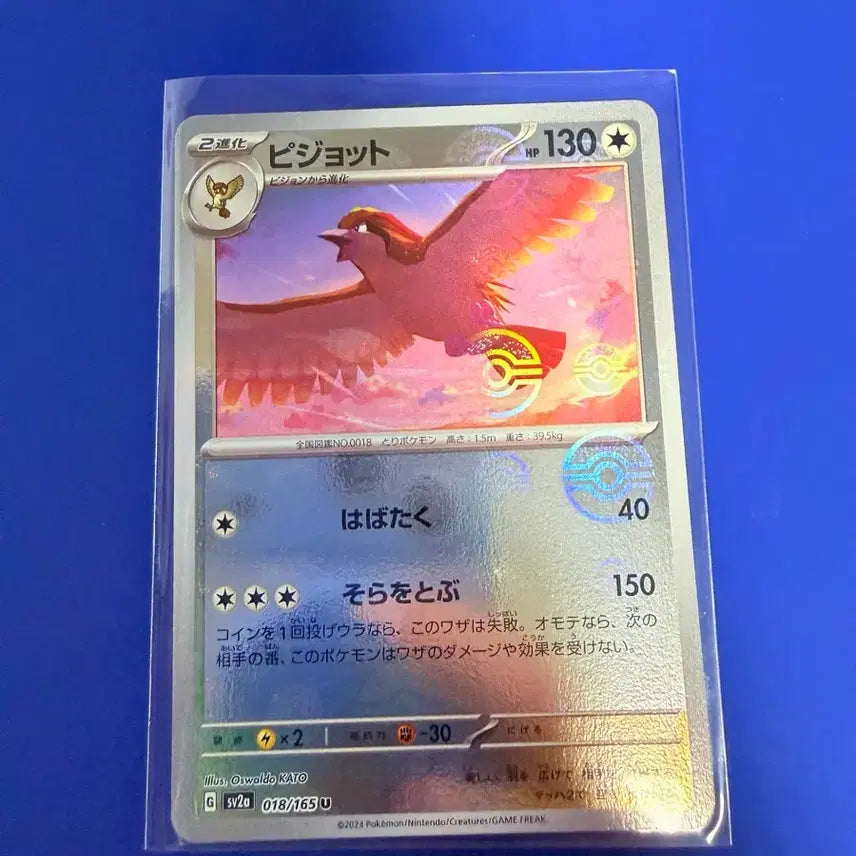 [BUNJANG] Pokemon Ball Monster Ball Japanese Edition / 포켓몬카드 몬볼 몬스터볼 일판