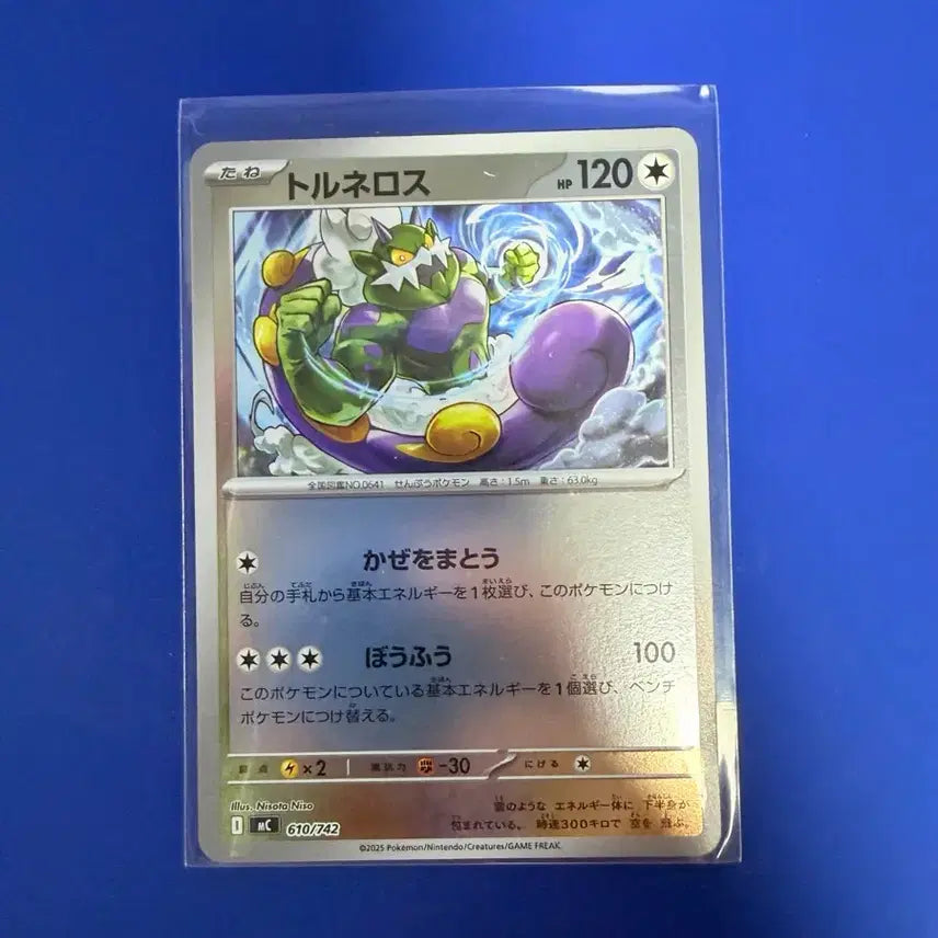 [BUNJANG] Pokemon Cards 100 Deck Mirror Japanese Edition / 포켓몬카드 100덱 미러 일판