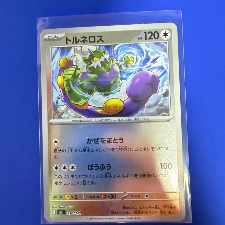 [BUNJANG] Pokemon Cards 100 Decks Mirror Japanese Edition / 포켓몬카드 100덱 미러 일판