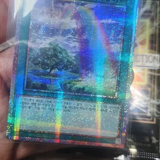 [BUNJANG] Yu-Gi-Oh! Rainbow Bridge Bifrost Card / 무지개다리 비프로스트 loch_kr021 유희왕