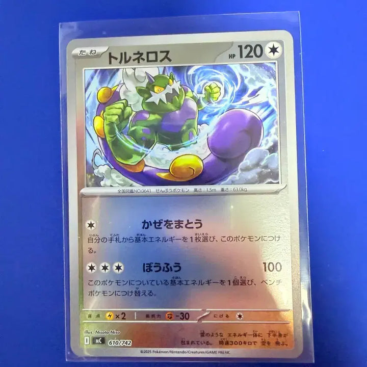 [BUNJANG] Pokemon Card 100 Deck Mirror Japanese Edition / 포켓몬카드 100덱 미러 일판