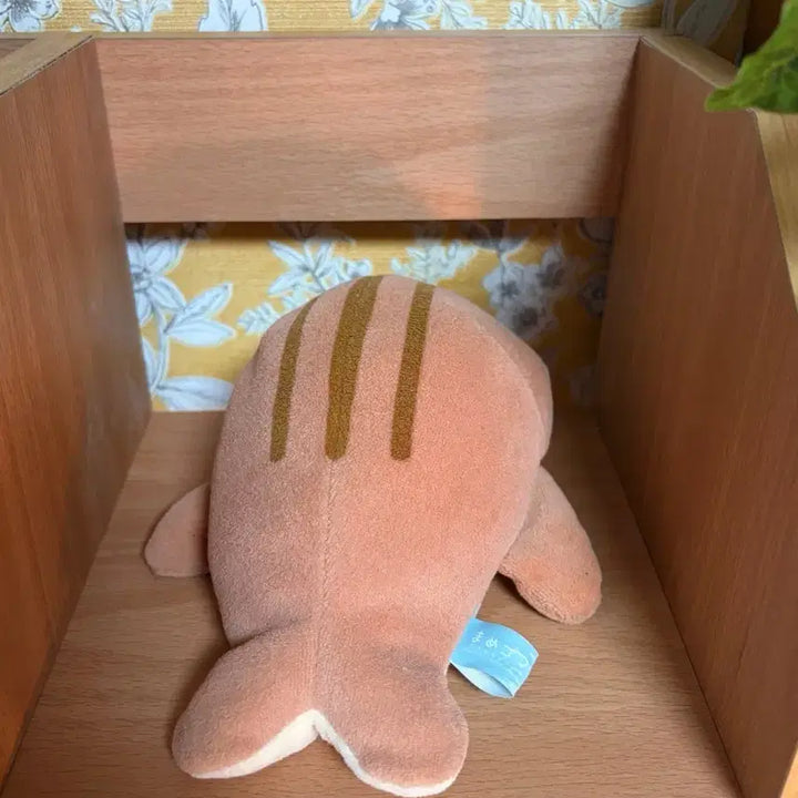 [BUNJANG] Choco Mamegoma Plush / 시마고마 초코 마메고마 고전인형 빈티지