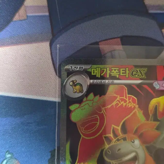 [BUNJANG] Pokemon Card EX SR S-Class / 메가폭타 ex SR S급 판매