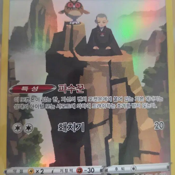 [BUNJANG] Pokémon Yanma &amp; Tropius CHR Card Set / 포켓몬 야부엉 사마자르 CHR 2개
