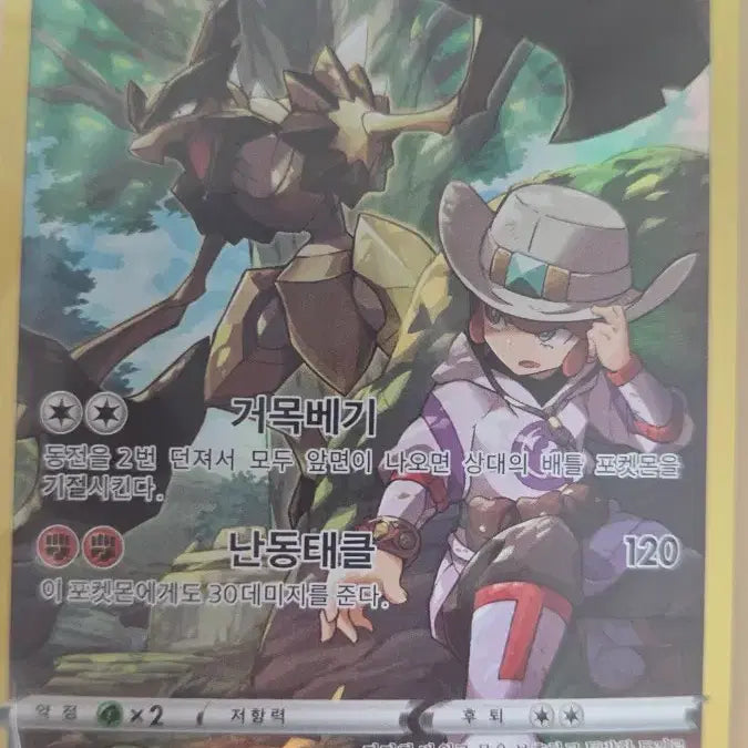 [BUNJANG] Pokémon Yanma &amp; Tropius CHR Card Set / 포켓몬 야부엉 사마자르 CHR 2개