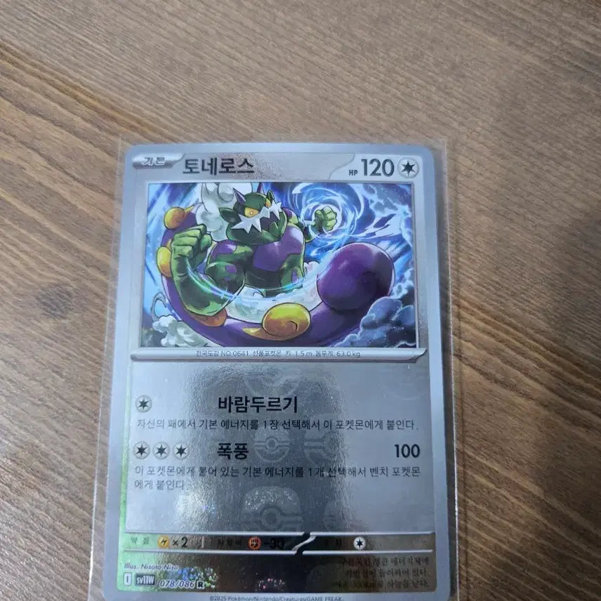 [BUNJANG] Pokémon Master Ball Trainer&