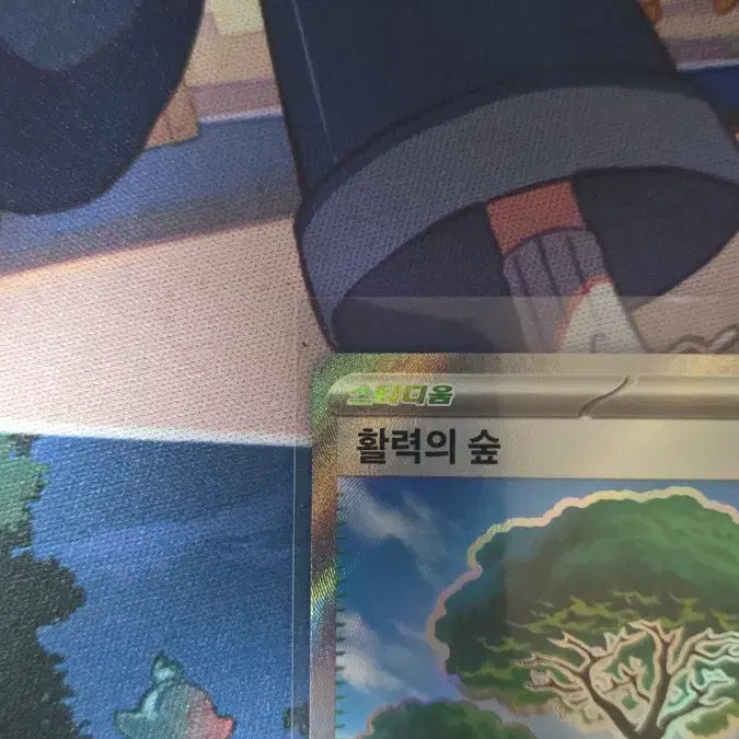 [BUNJANG] Forest of Vitality SR S-Grade Card / 활력의 숲 SR S급 판매