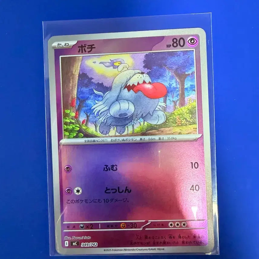 [BUNJANG] Pokemon Cards 100 Deck Mirror Japanese Edition / 포켓몬카드 100덱 미러 일판