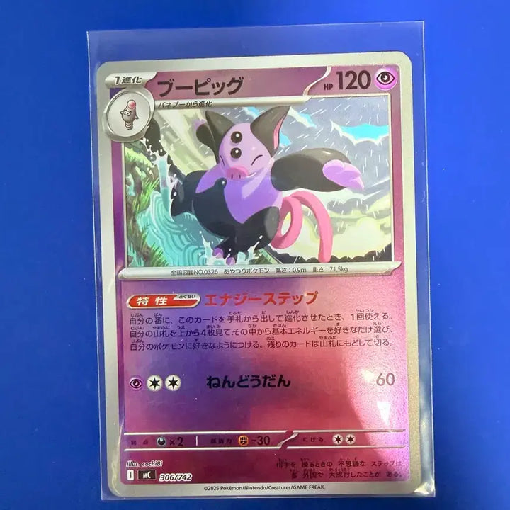 [BUNJANG] Pokemon Card 100 Deck Mirror Japanese / 포켓몬카드 100덱 미러 일판
