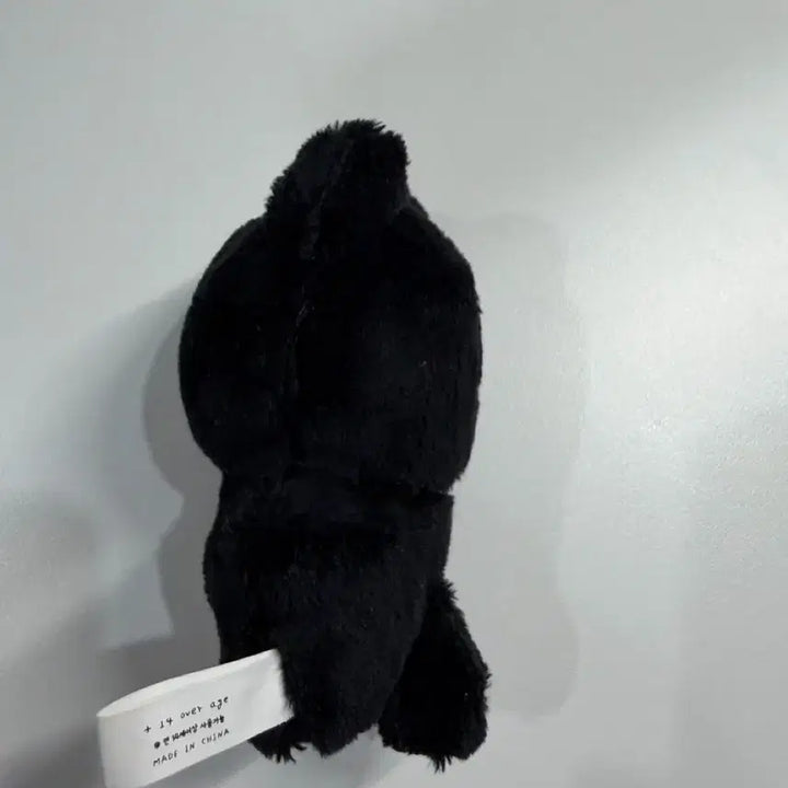 [BUNJANG] BOYNEXTDOOR Taesan Plush Doll / 보이넥스트도어 인형 솜넥도 태산