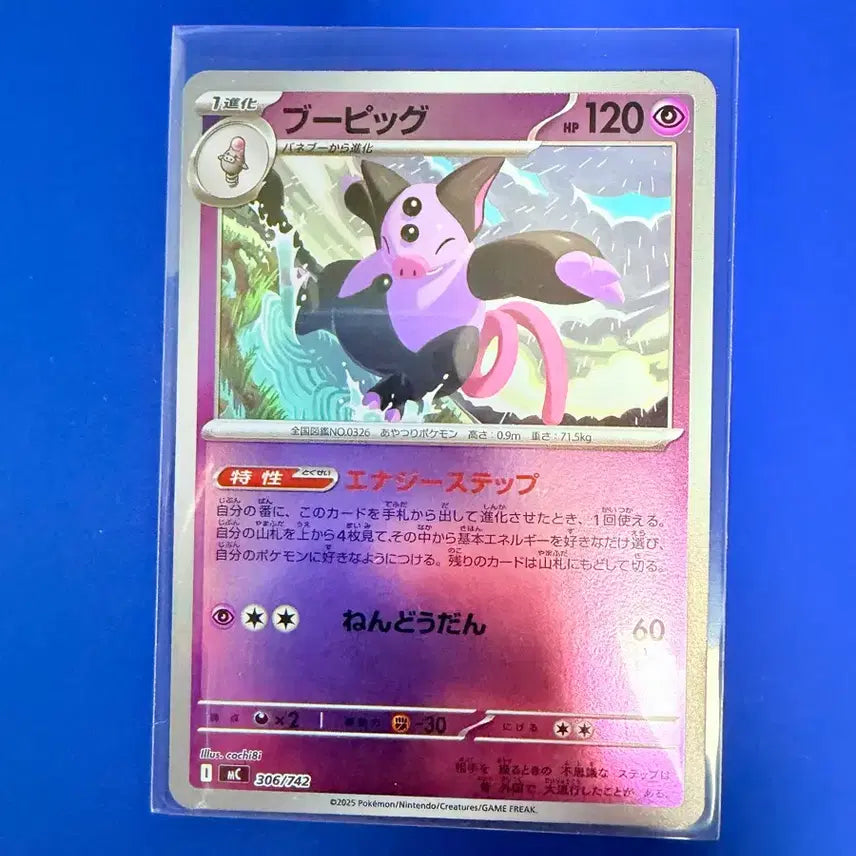 [BUNJANG] Pokemon Card Japanese 100 Deck Mirror / 포켓몬카드 100덱 미러 일판