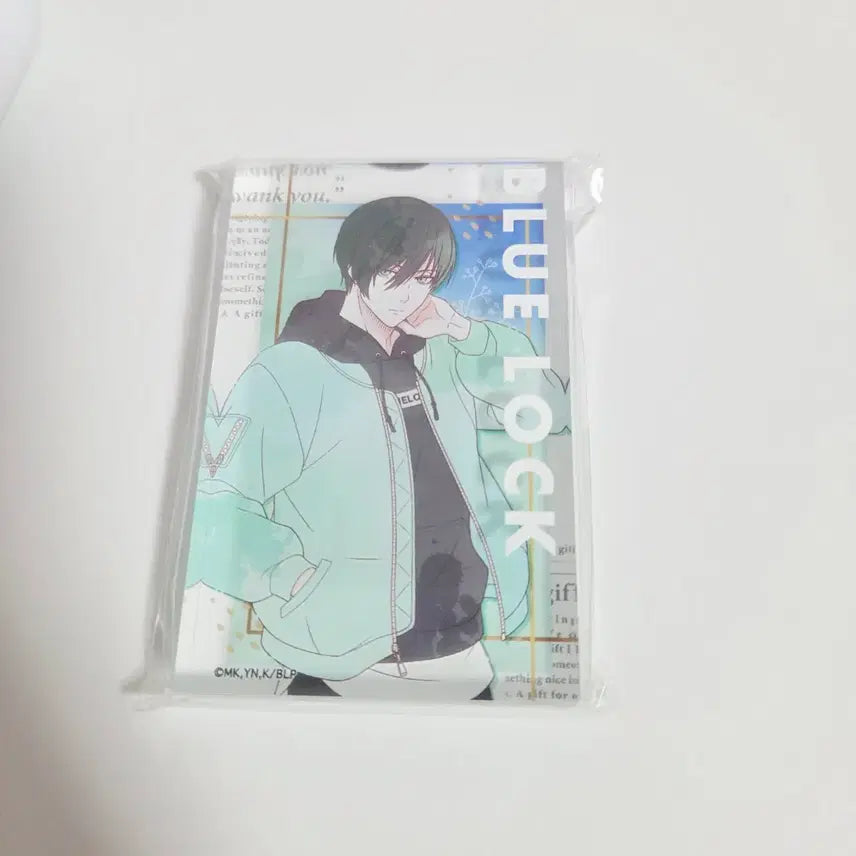 [BUNJANG] Blue Lock Crux Acrylic Block Nuance Color Rin / 블루록 Crux 아크릴 블럭 뉘앙스 컬러 린