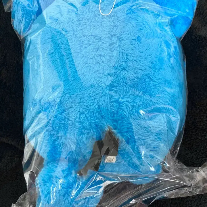 [BUNJANG] Pokemon Marill Plush Doll / 포켓몬 포켓몬스터 마릴 누이구루미 누이 인형