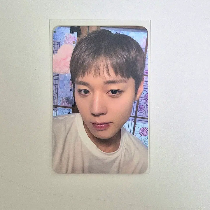 [BUNJANG] Park Ji Hoon Soundwave Lucky Draw Photocard / 박지훈 사운드웨이브 하바회 특전 포카
