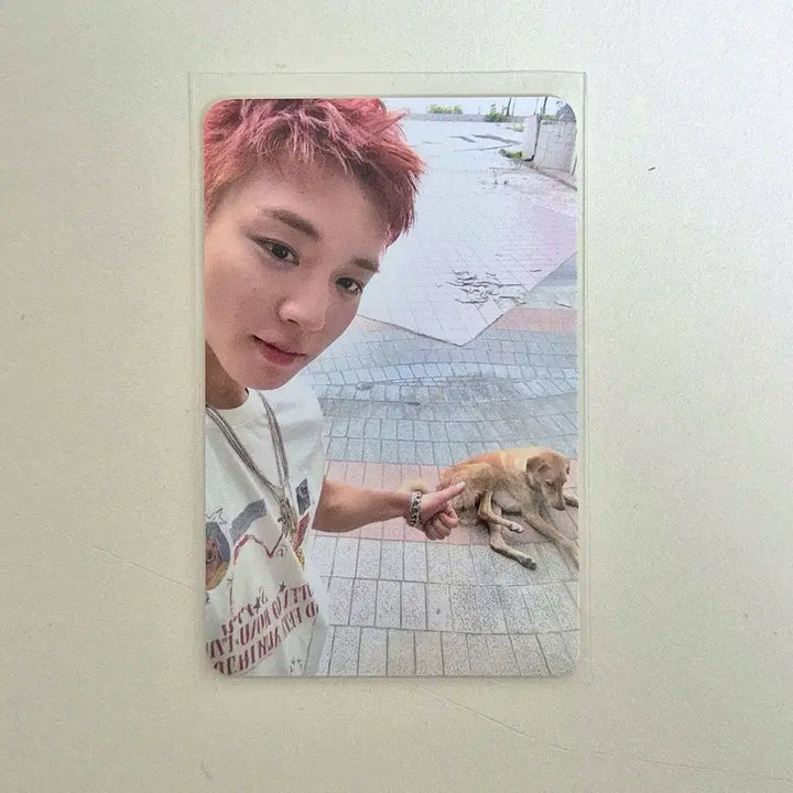 [BUNJANG] Park Jihoon Popup Photocard / 박지훈 팝업 포카