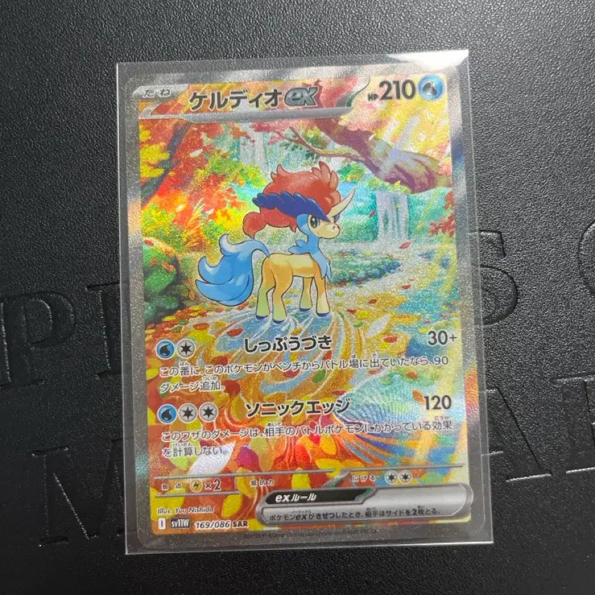 [BUNJANG] Keldeo SAR / 일판 케르디오 sar