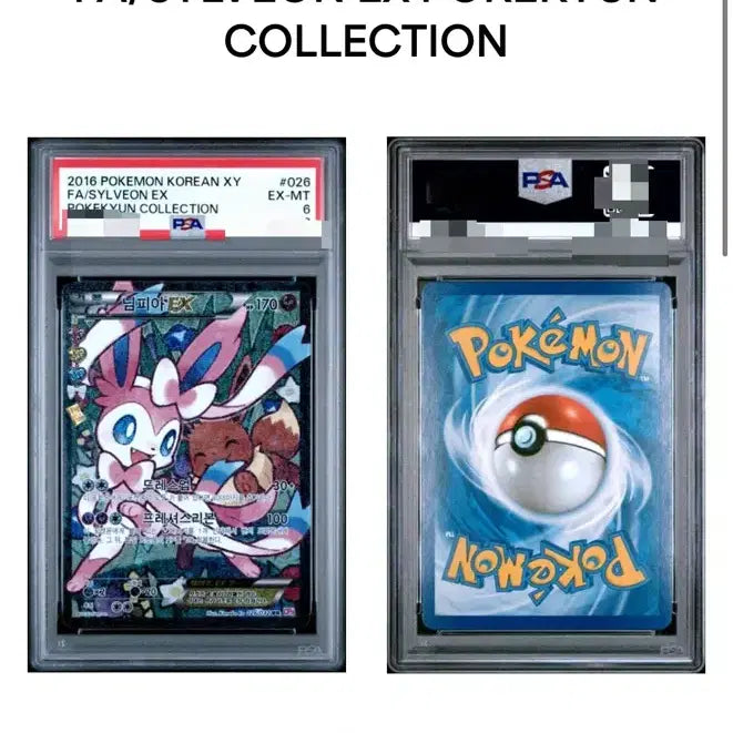 [BUNJANG] Pokemon Card Nymphia EX CP3 PSA 6 / 포켓몬카드 심쿵 님피아 EX CP3 PSA