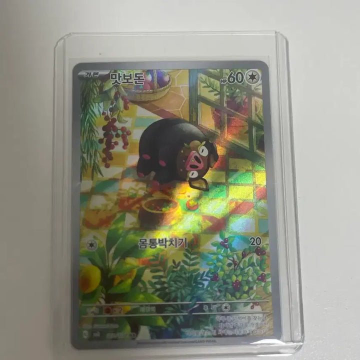 [BUNJANG] Pokemon Masboton AR Card / 포켓몬 맛보돈 AR 카드